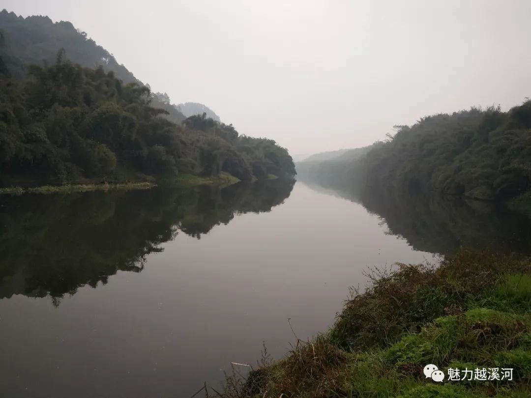 宜宾县越溪河畔隆兴"世界樟海"旅游景点来了,即将开启越溪河畔旅