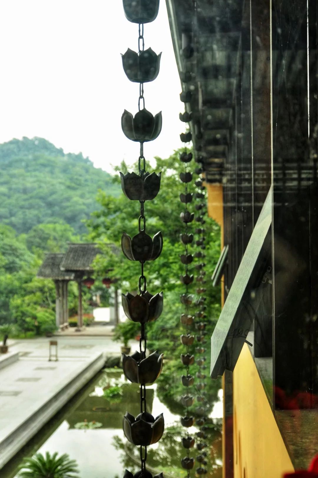 學術為根本,藝術為特色—在眾多佛學廟宇和寺院中,位於三天竺和法雲