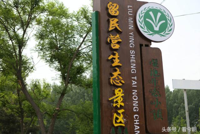 北京留民营生态观光园图片