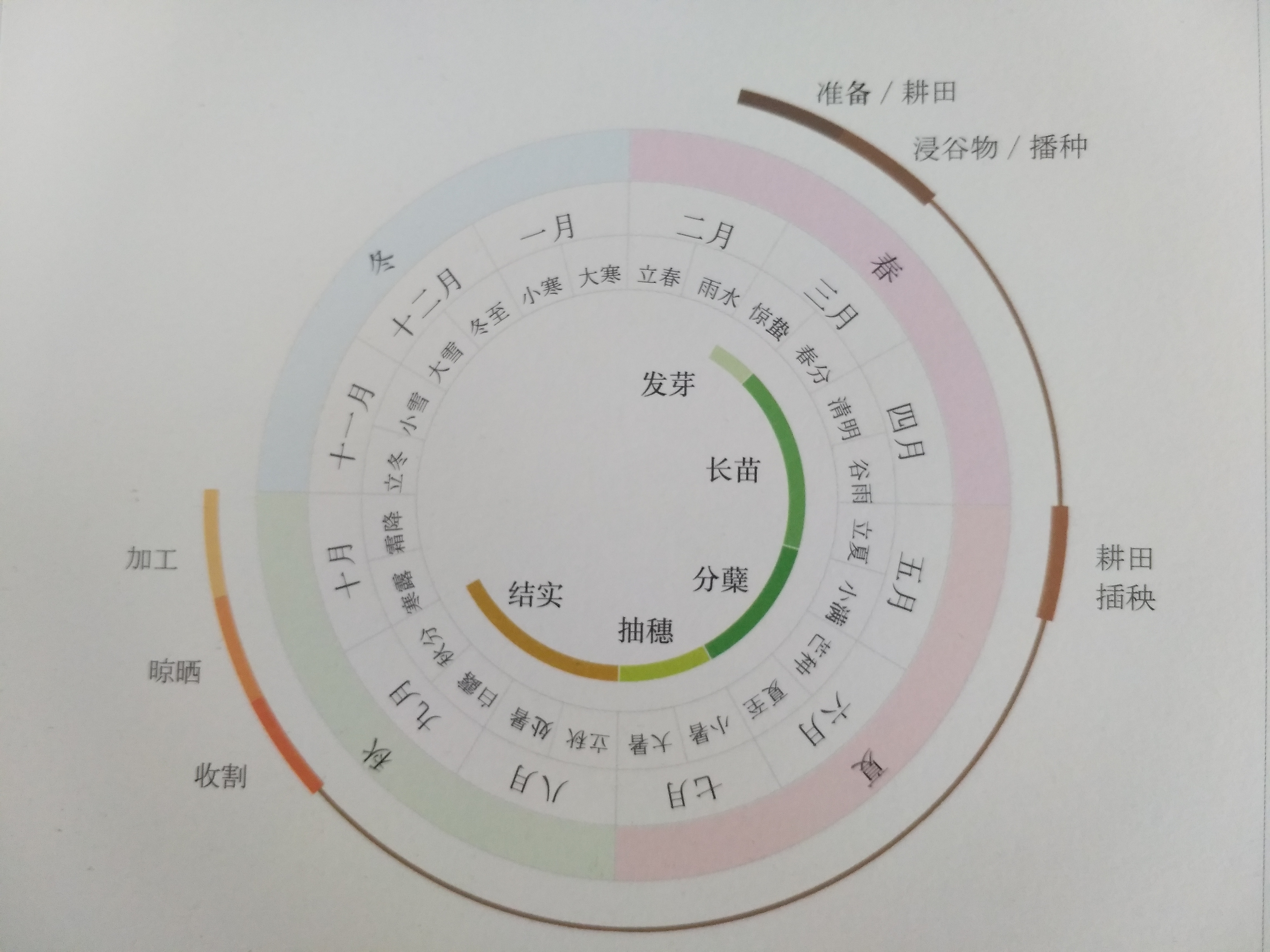 悦读绘本盘中餐感受每一粒米的成长