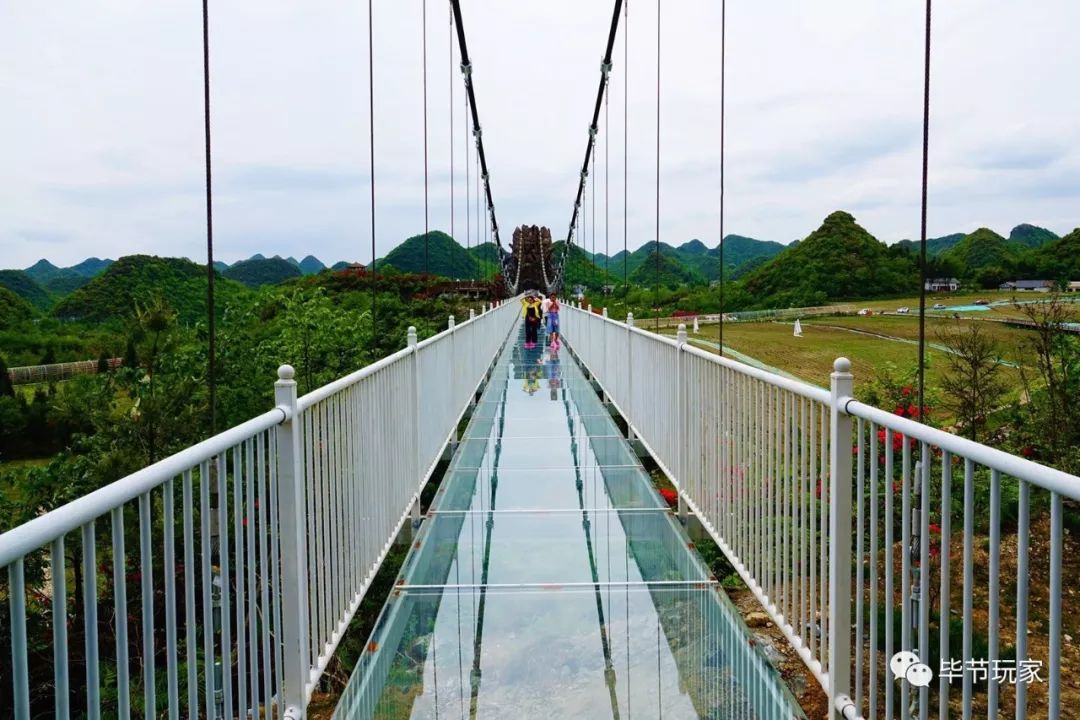 长假首日,彝山花谷引爆毕节旅游高峰