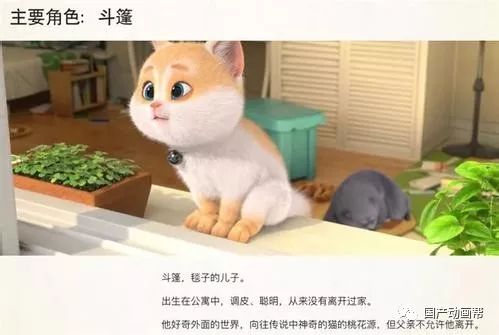 猫与桃花源给猫奴的情书