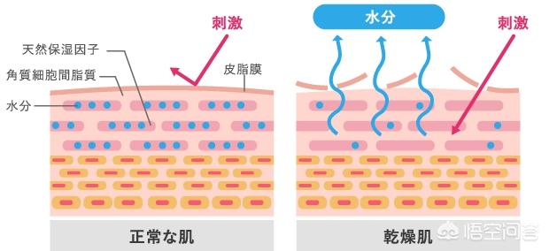 为什么春天皮肤会干燥