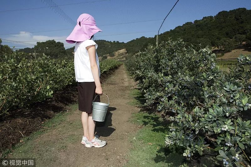 惠州花果山传奇庄园图片