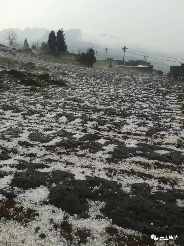 昨晚,貴州多地冰雹,暴雨,大風來襲,務川開啟車在