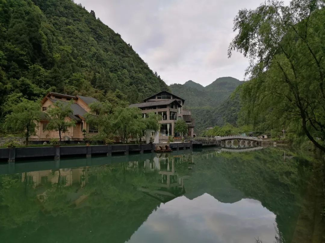 黑叶猴据景区管理员耿思竹介绍,在枧坝镇观音岩景区,目前发现的野生