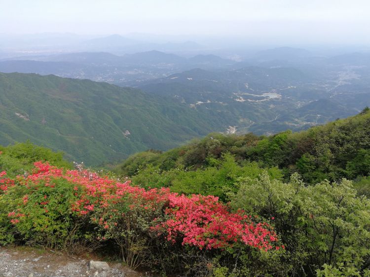 黃龍山位於湖南省平江縣,湖北省通城縣和江西省修水縣的交界處,是湘鄂