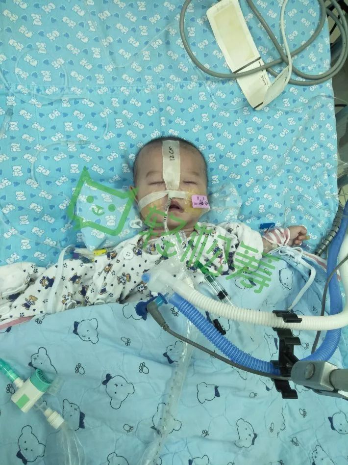 求助:水口医院出生的婴儿患上先天性心脏病