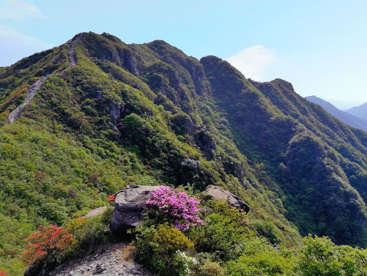 黃龍山位於湖南省平江縣,湖北省通城縣和江西省修水縣的交界處,是湘鄂