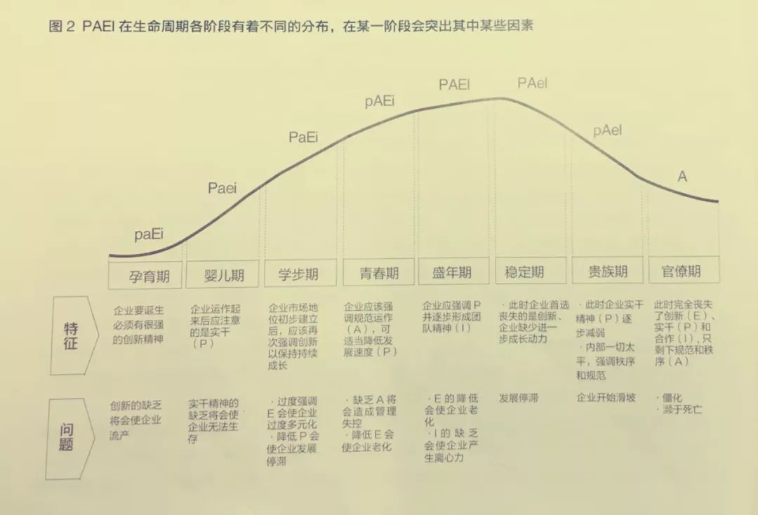 企业在不同的周期阶段会表现