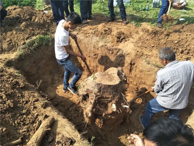 漯河紀行實拍河南農村老人去世打墓現場