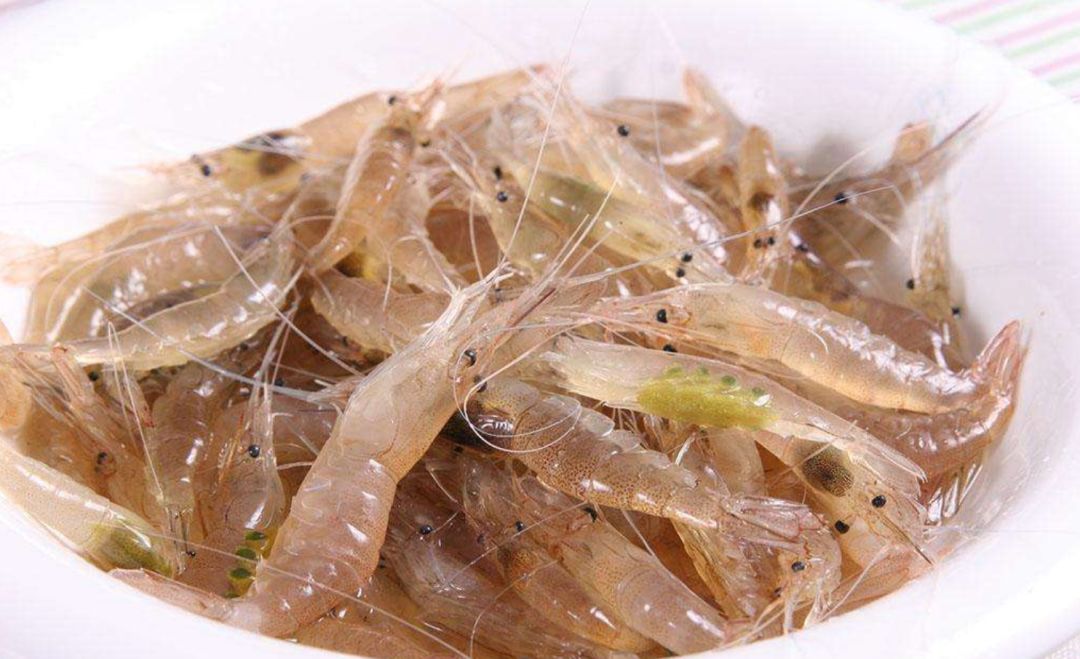 典型米虾图片