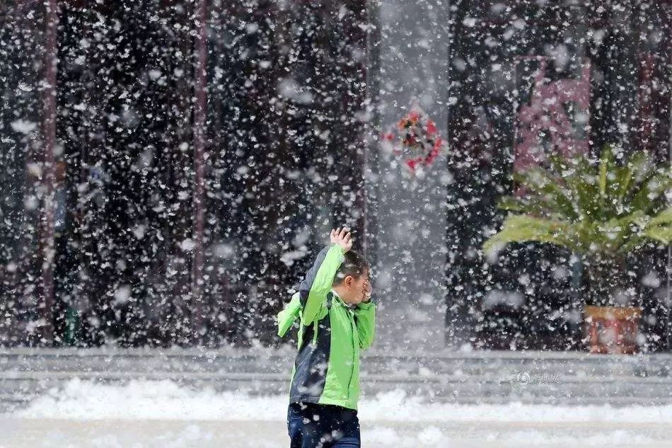 合肥杨絮柳絮满天飞 你的眼睛过敏怎么办