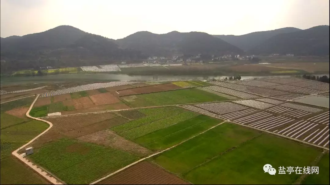 难得的一天|工作之余,来一场盐亭大美毛公的春天之旅(附航拍视频)