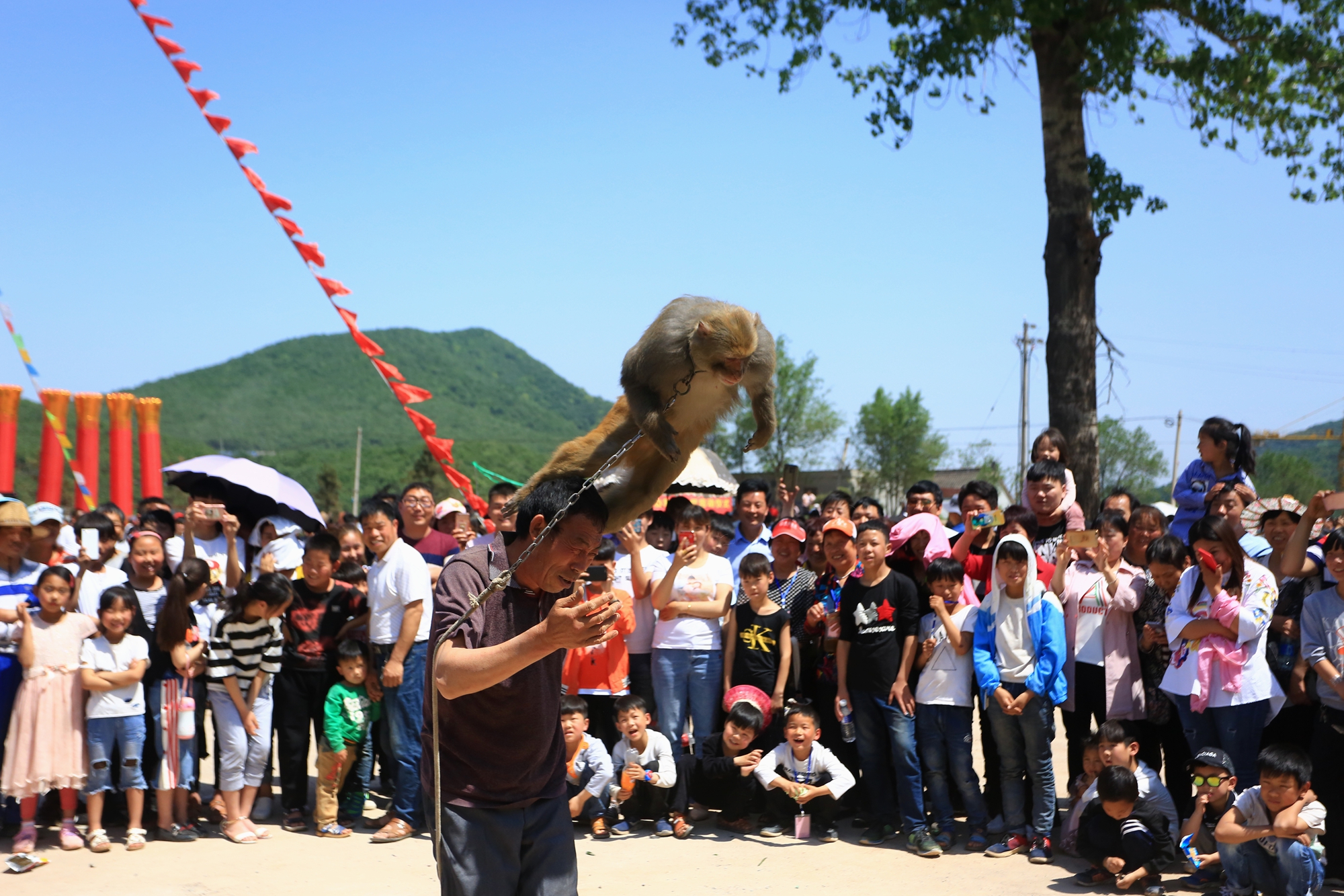 人猴大战引来数百人围观非遗猴戏 表演惟妙惟肖现场观众笑声不断