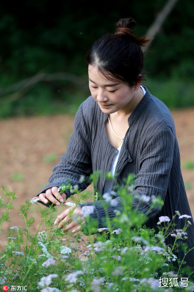 深山古寺里最年轻的女居士 每日诵经读书悠然山林