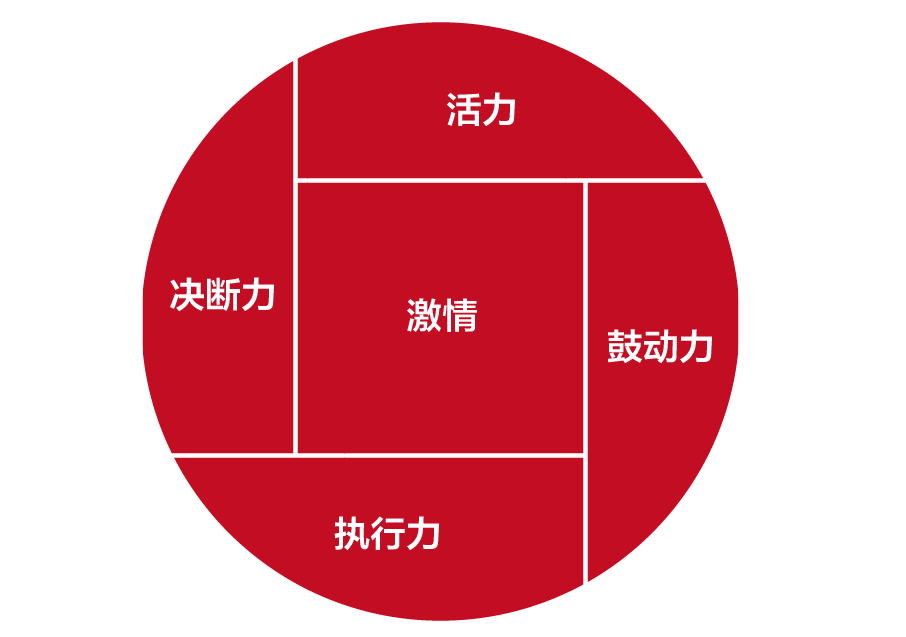 geibm宝洁公司领导力模型解读