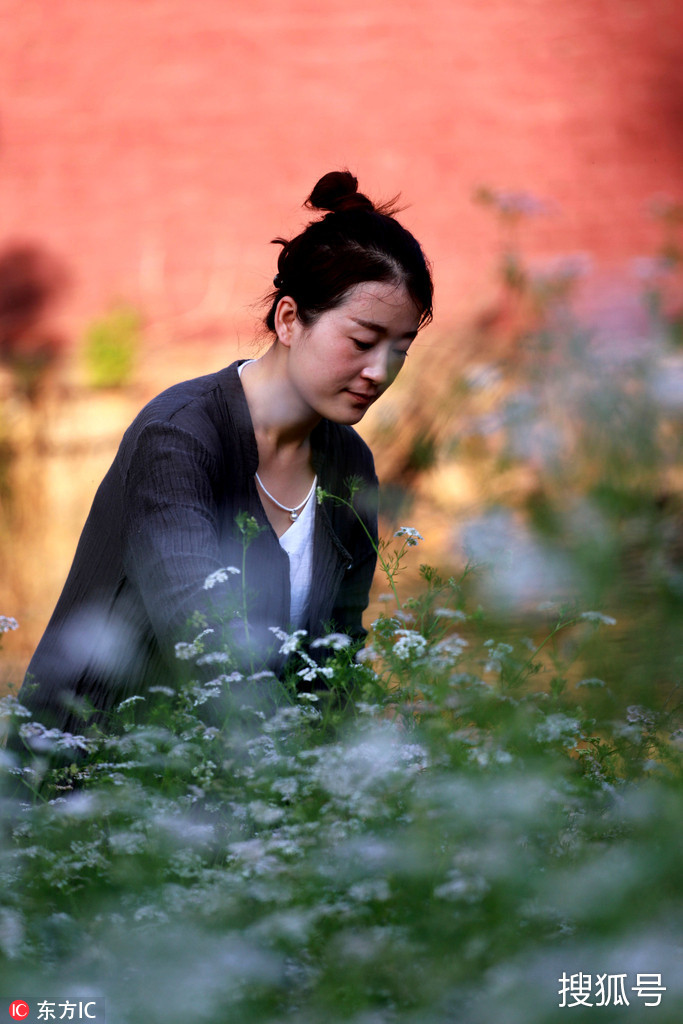 深山古寺里最年轻的女居士 每日诵经读书悠然山林