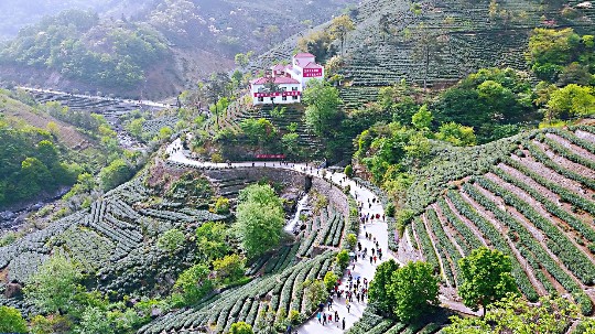 信阳市商城县:乡村旅游火了 农民荷包鼓了(图)