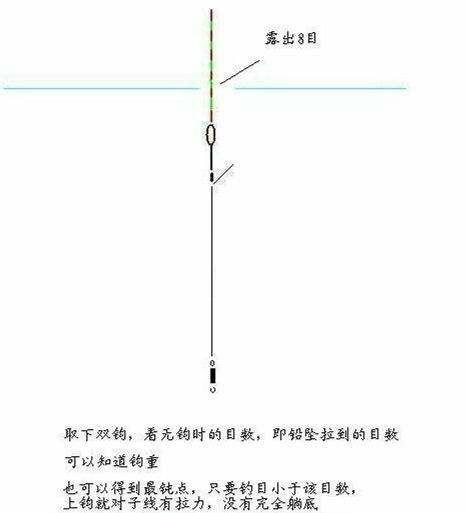 鲫鱼调漂图解野钓图片