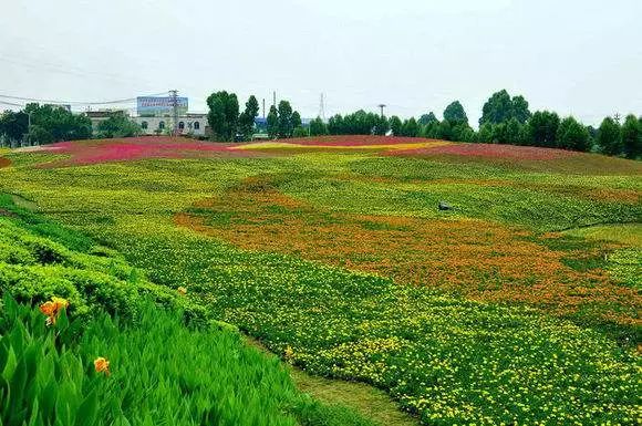 龍文區藍田鎮(實際由龍海市榜山鎮管轄)東側江東橋地址:龍文區藍田鎮