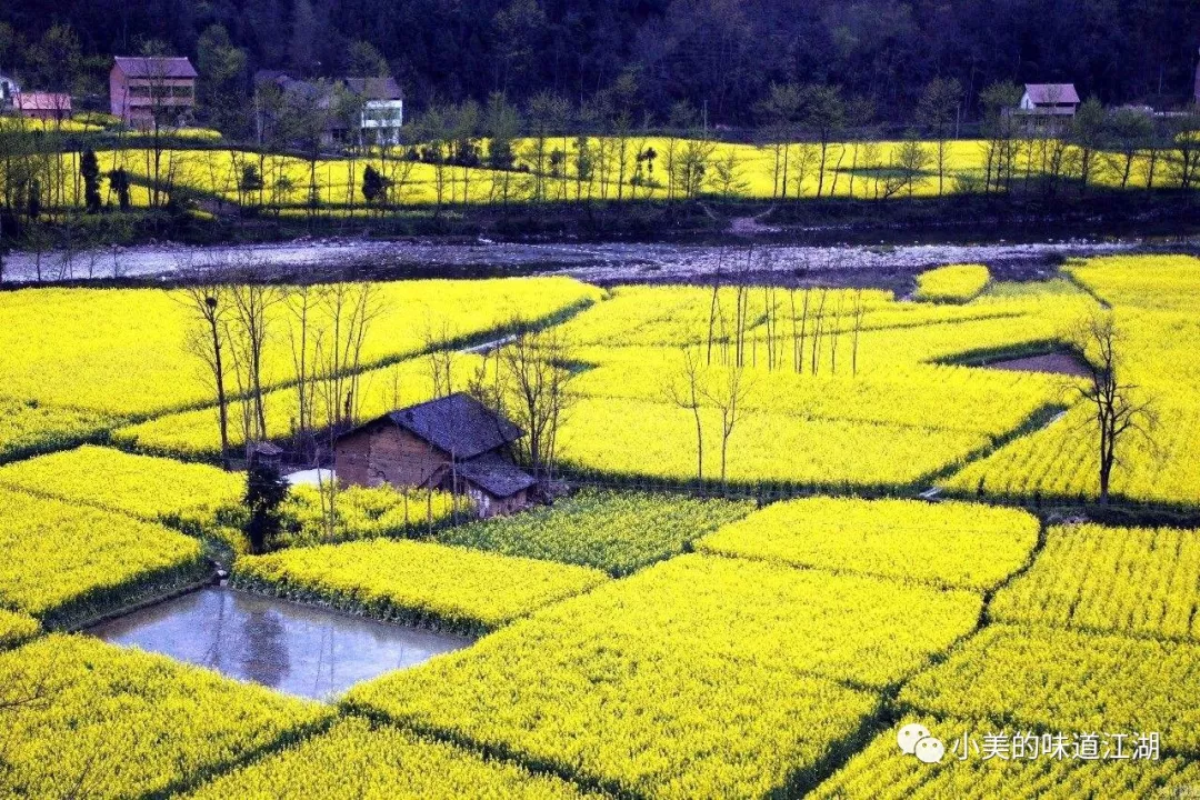 漢中除了油菜花節其實還藏匿著一個世外桃源呢67