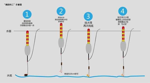 鲫鱼调漂图解野钓图片