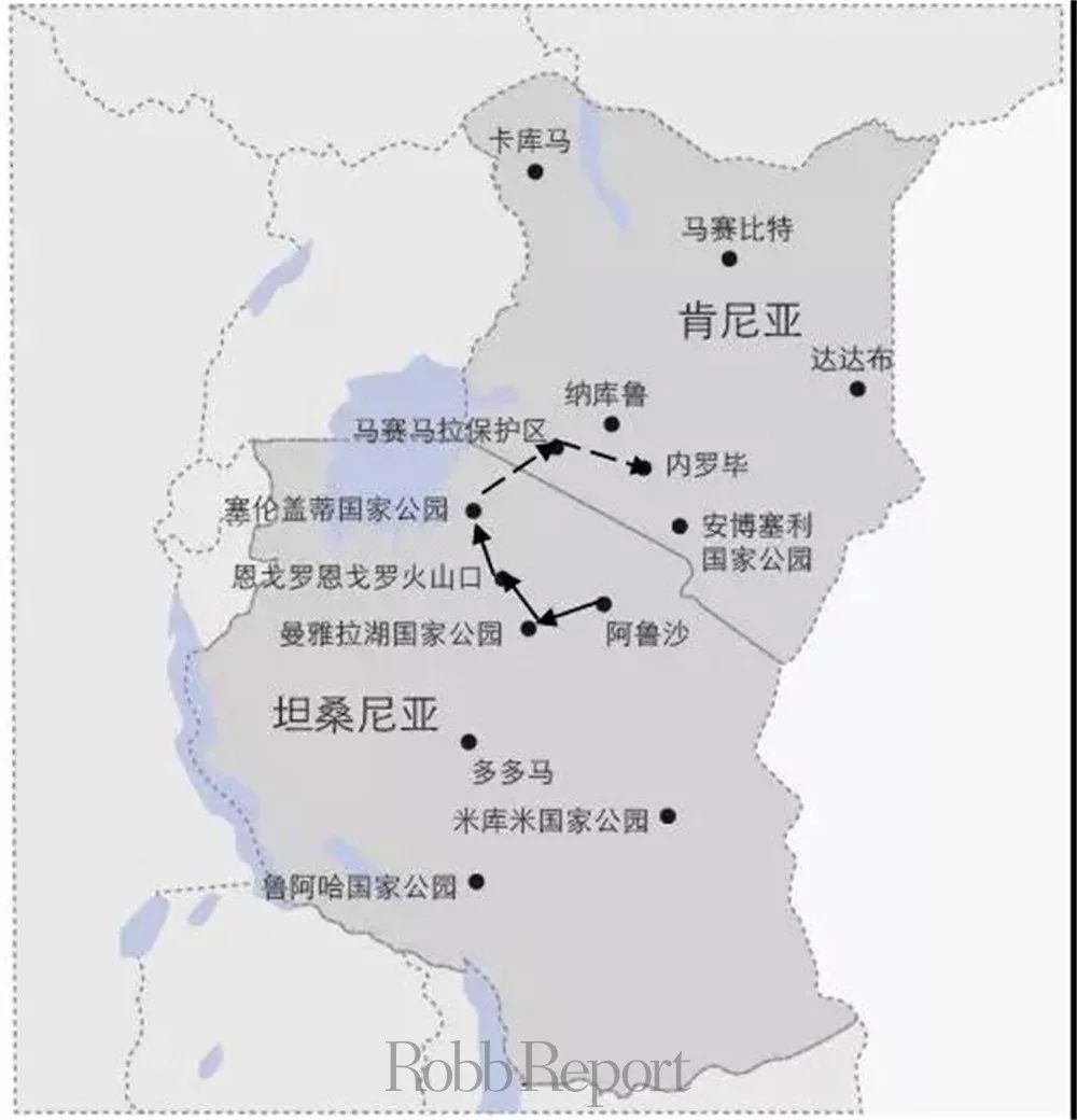 非洲动物大迁徙地图图片