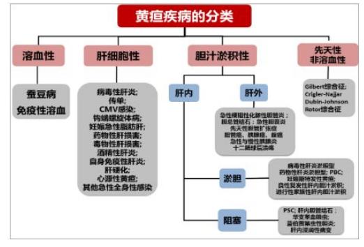 根據膽紅素代謝過程中所受到的影響,可把黃疸分為肝細胞性黃疸,溶血性