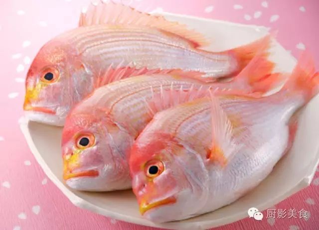 赤鯥又名喉黑魚(のどぐろ),大多產自日本海一側較溫暖的海域,活動在