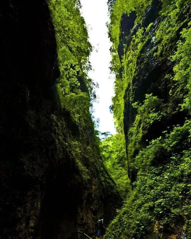 秦岭一线天图片