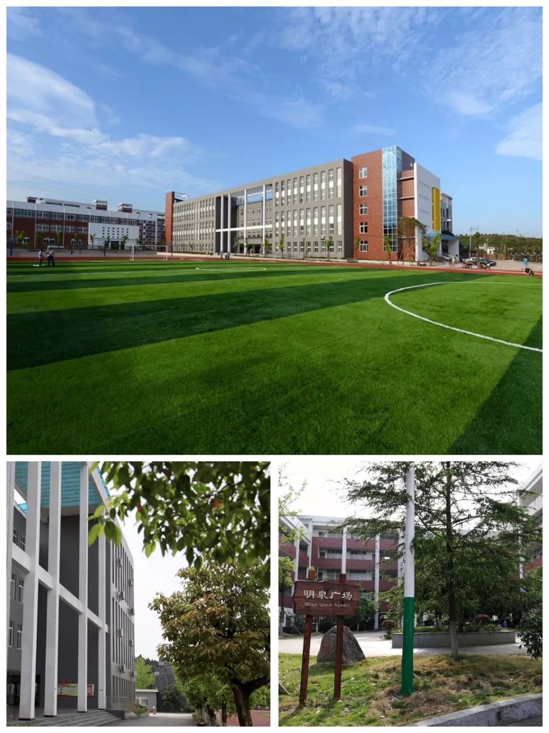 阜阳绿色实验学校图片图片