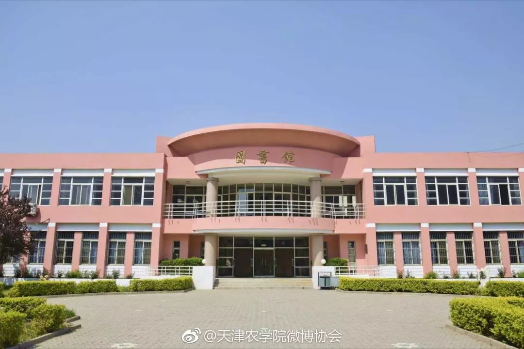 農學院畢業出來的優勢:農業技術超強天津農學院@中國民航大學顏值高的