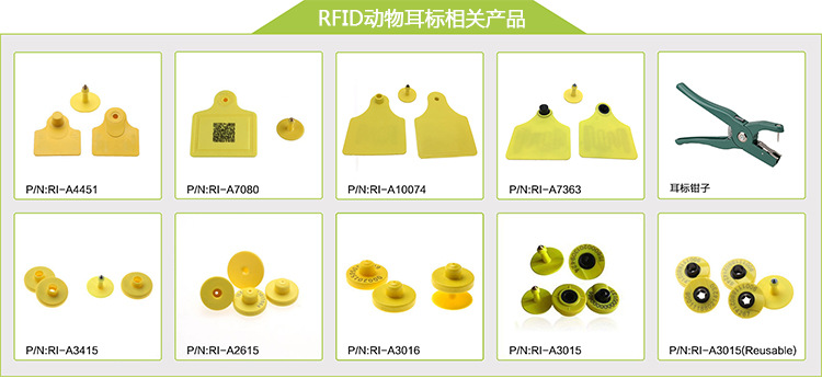 Rfid牛耳标超高频猪耳标畜牧业管理动物耳标种猪溯源管理电子耳标