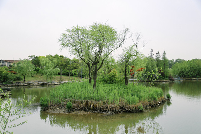 南通黄泥山风景区图片