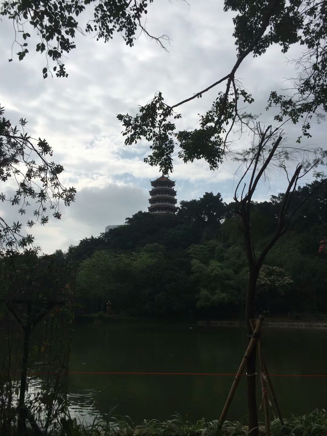 中山的,龙山公园,景色优美,难得一见