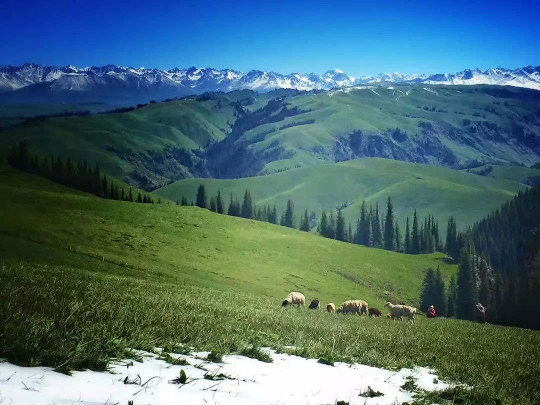 专业摄影团绝美西天山