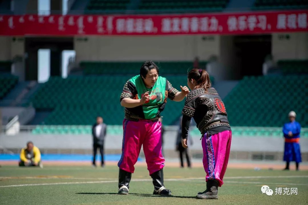 图集2018第十四届锡林郭勒俱乐部杯博克塞128搏克精彩图集