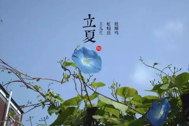 "夏三月,此谓蕃秀,天地气交,万物华实,夜卧早起,无厌于日,使志无怒