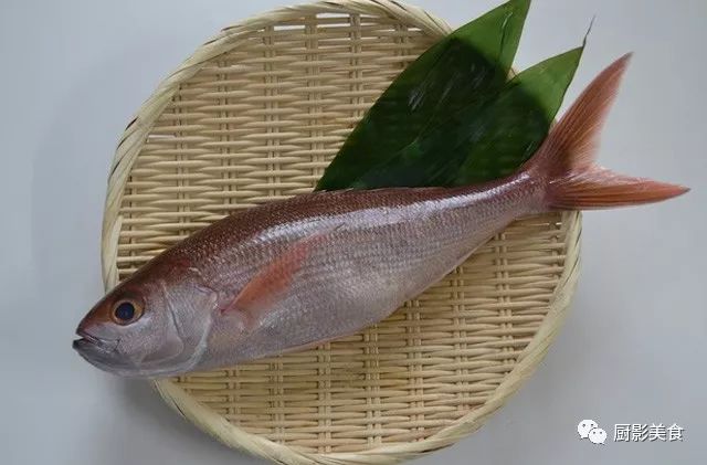 日料魚類刺身大賞