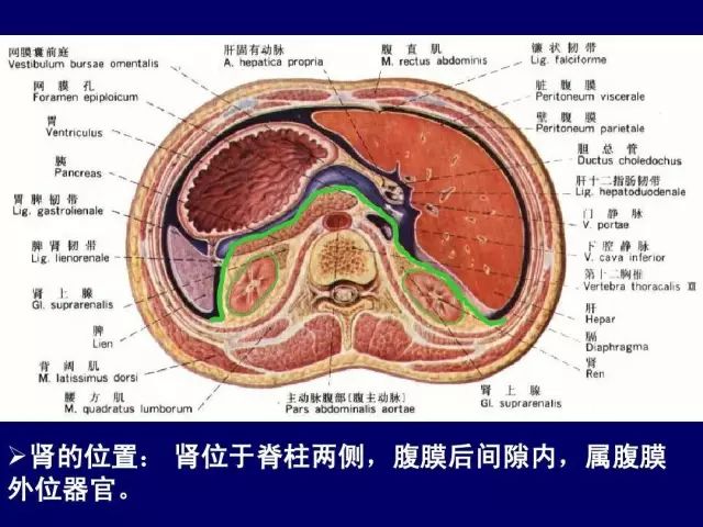 北大外科专家罗成华:腹膜后肿瘤的手术治疗策略与新趋势