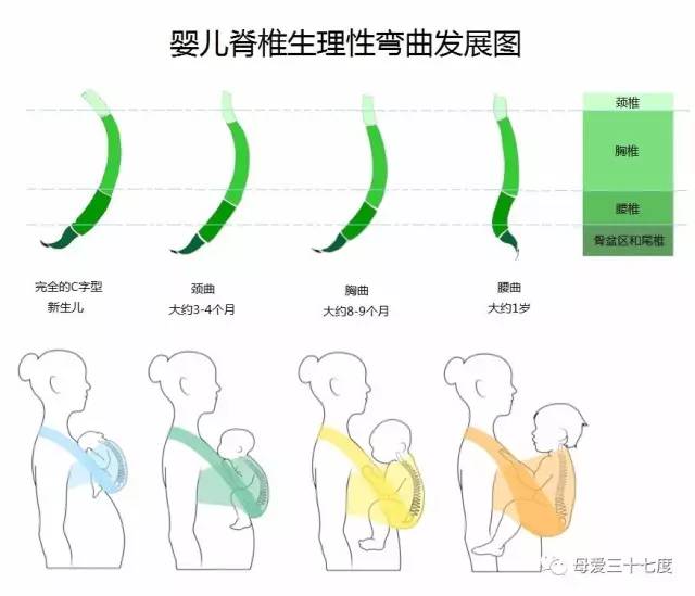 用背巾会对宝宝脊椎或关节不好吗?