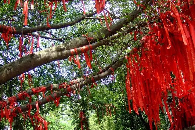 一份平安健康登上祈福鍾亭撞鐘祈福,福祿壽來在花海長廊中掛上祈福牌