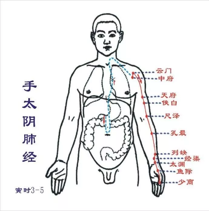 按摩绝对有效的经络穴位以及绝密手法