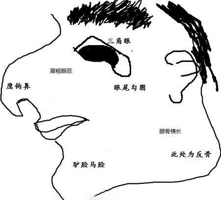 鹰鼻鹞眼人相貌图片图片