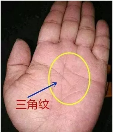 你手上有三角纹吗?