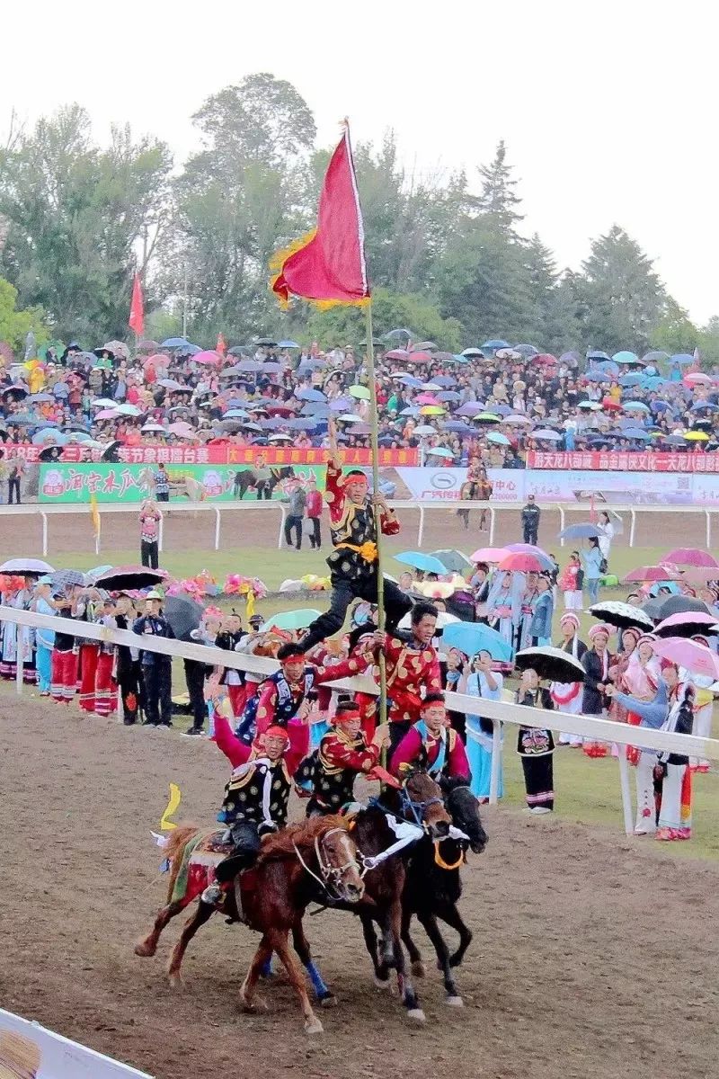 三月街赛马文化艺术系列活动圆满结束感谢大家关注附多图视频