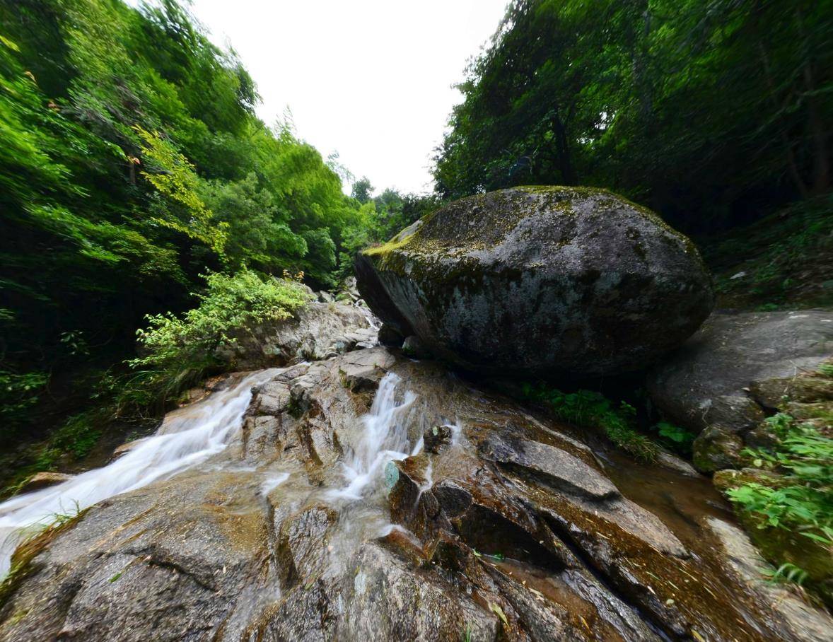 大自然賜予人類的人間仙境,湘東綠色明珠湖南瀏陽大圍山森林公園