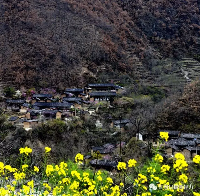 去年,甘肃日报组织10余名摄影家在武都区琵琶镇张坝村进行采风活动