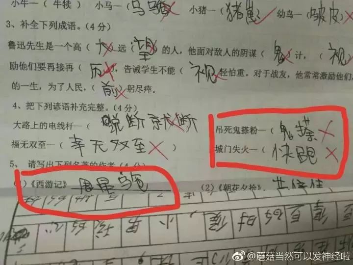 笑哭把家長氣到流淚的期中試卷看完給跪了哈哈哈哈哈哈哈哈哈哈哈哈哈